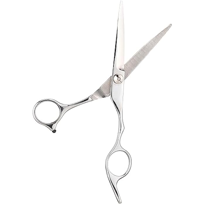 Roofa Spain Hiar Scissor stainless steel - Silver -005SC - Image 1
